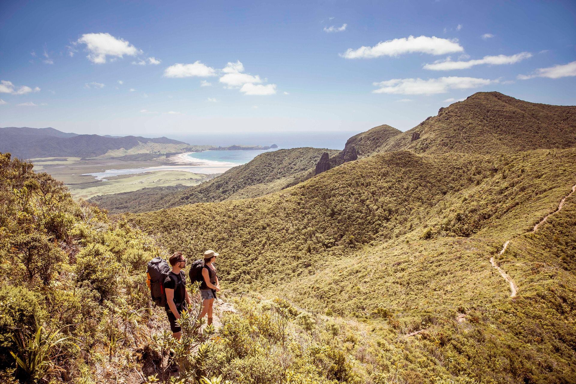 Exploring the Hidden Gems: Off-the-Beaten-Path Tours in New Zealand